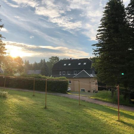 Villa Hainberg - attraktive FeWo im Erzgebirge für Hundefreunde Rauschenbach Exterior foto