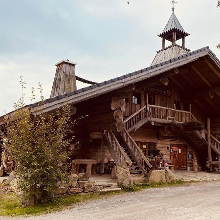 Villa Hainberg - attraktive FeWo im Erzgebirge für Hundefreunde Rauschenbach Exterior foto