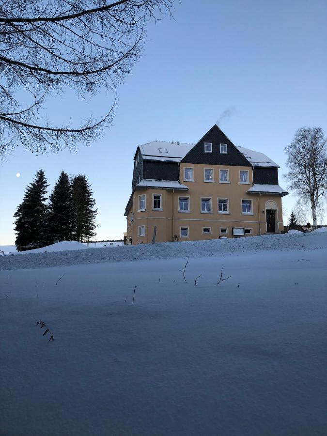Villa Hainberg - attraktive FeWo im Erzgebirge für Hundefreunde Rauschenbach Exterior foto