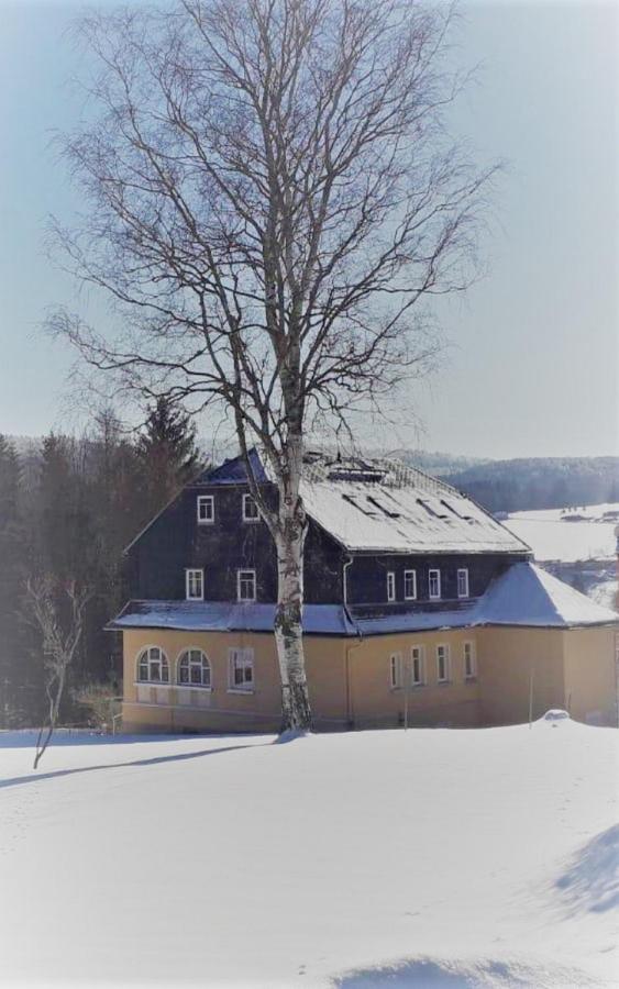 Villa Hainberg - attraktive FeWo im Erzgebirge für Hundefreunde Rauschenbach Exterior foto