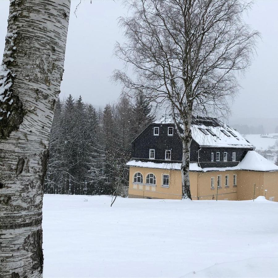 Villa Hainberg - attraktive FeWo im Erzgebirge für Hundefreunde Rauschenbach Exterior foto