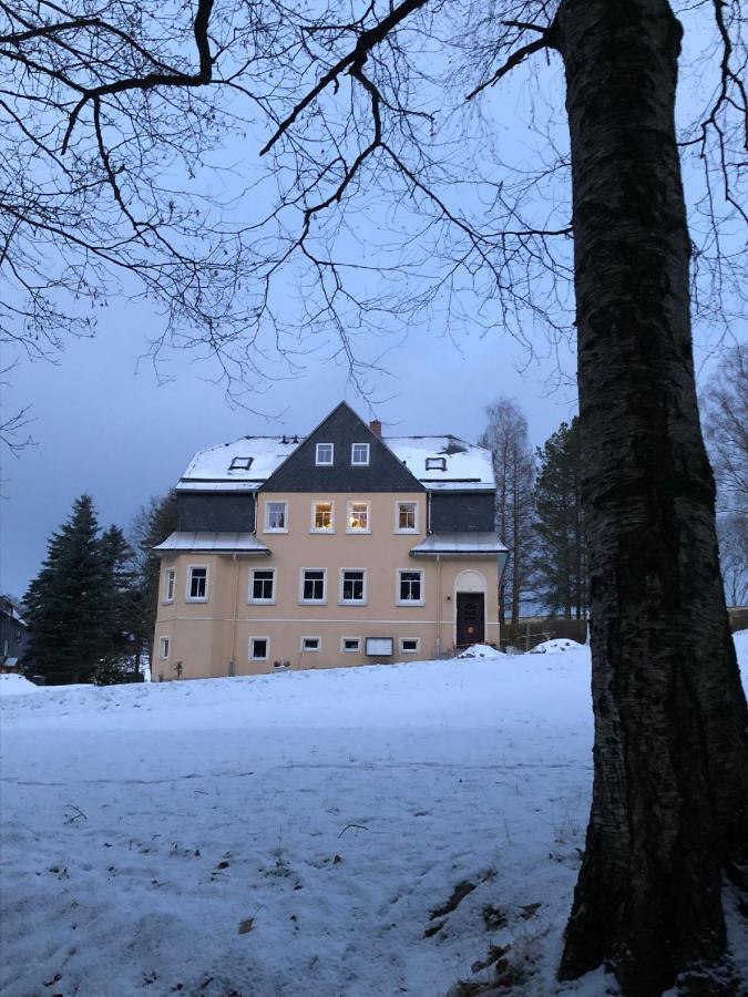 Villa Hainberg - attraktive FeWo im Erzgebirge für Hundefreunde Rauschenbach Exterior foto
