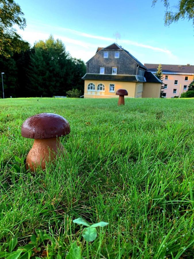 Villa Hainberg - attraktive FeWo im Erzgebirge für Hundefreunde Rauschenbach Exterior foto