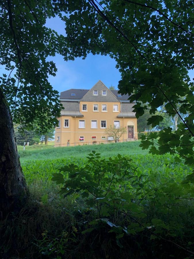 Villa Hainberg - attraktive FeWo im Erzgebirge für Hundefreunde Rauschenbach Exterior foto