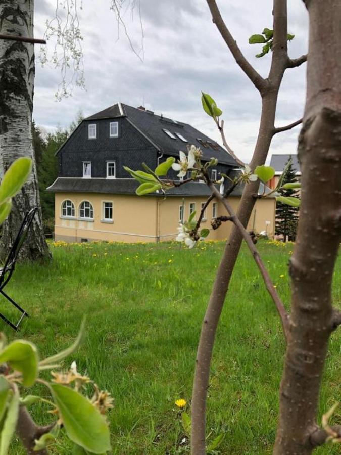 Villa Hainberg - attraktive FeWo im Erzgebirge für Hundefreunde Rauschenbach Exterior foto