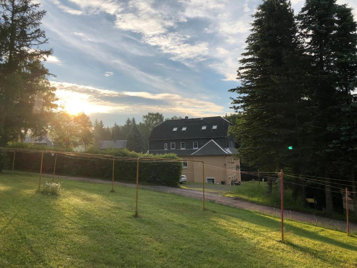 Villa Hainberg - attraktive FeWo im Erzgebirge für Hundefreunde Rauschenbach Exterior foto