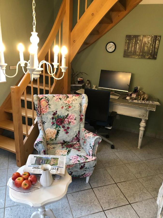 Villa Hainberg - attraktive FeWo im Erzgebirge für Hundefreunde Rauschenbach Exterior foto