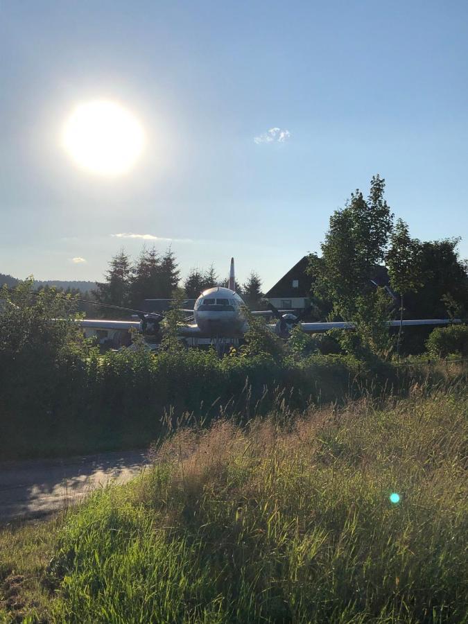 Villa Hainberg - attraktive FeWo im Erzgebirge für Hundefreunde Rauschenbach Exterior foto