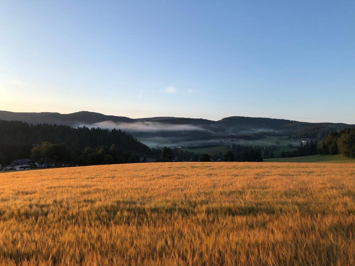 Villa Hainberg - attraktive FeWo im Erzgebirge für Hundefreunde Rauschenbach Exterior foto