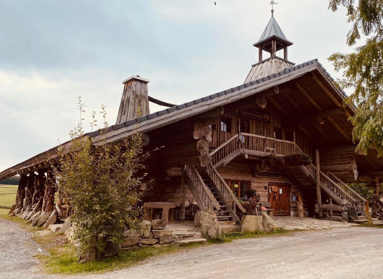 Villa Hainberg - attraktive FeWo im Erzgebirge für Hundefreunde Rauschenbach Exterior foto