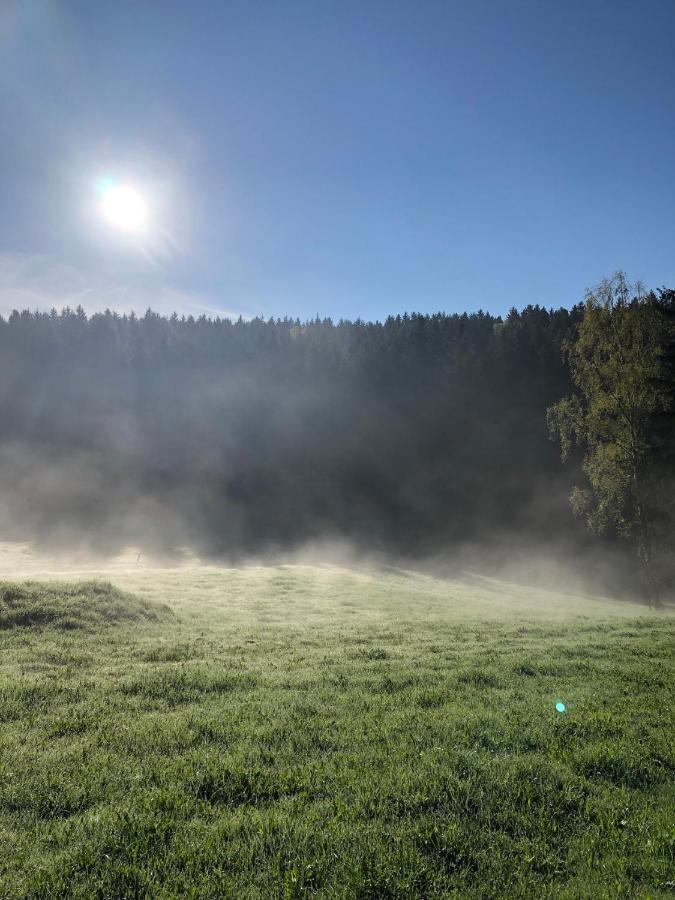 Villa Hainberg - attraktive FeWo im Erzgebirge für Hundefreunde Rauschenbach Exterior foto