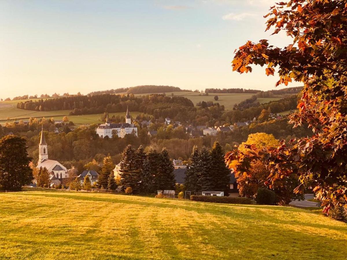 Villa Hainberg - attraktive FeWo im Erzgebirge für Hundefreunde Rauschenbach Exterior foto