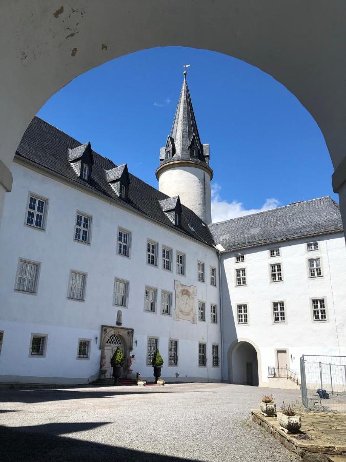 Villa Hainberg - attraktive FeWo im Erzgebirge für Hundefreunde Rauschenbach Exterior foto