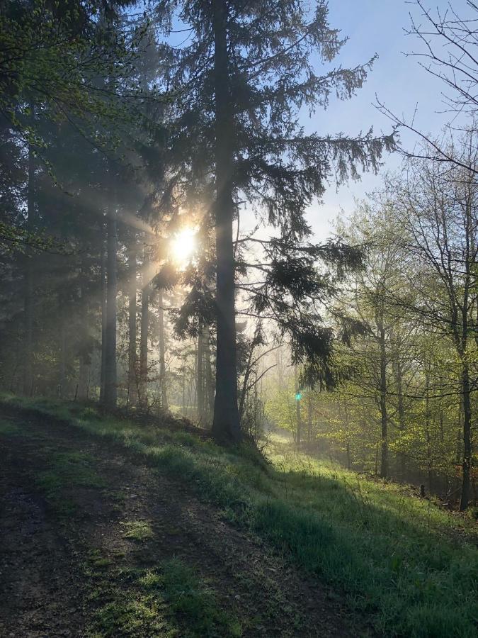 Villa Hainberg - attraktive FeWo im Erzgebirge für Hundefreunde Rauschenbach Exterior foto